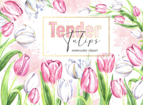 Elevating Your Designs with Hand-Painted Tulip Watercolor Art