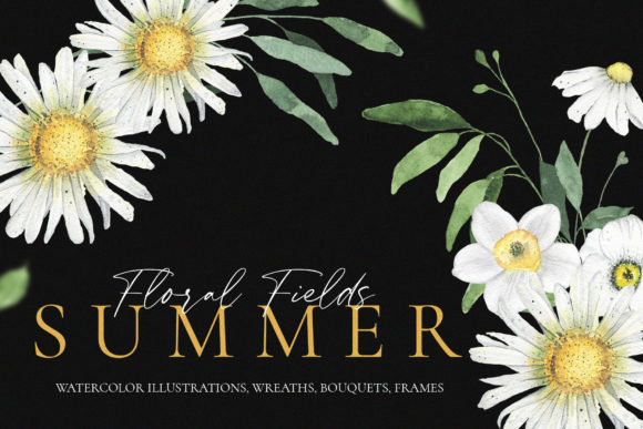 Evaluating the Summer Floral Fields Collection for Professional Design Projects