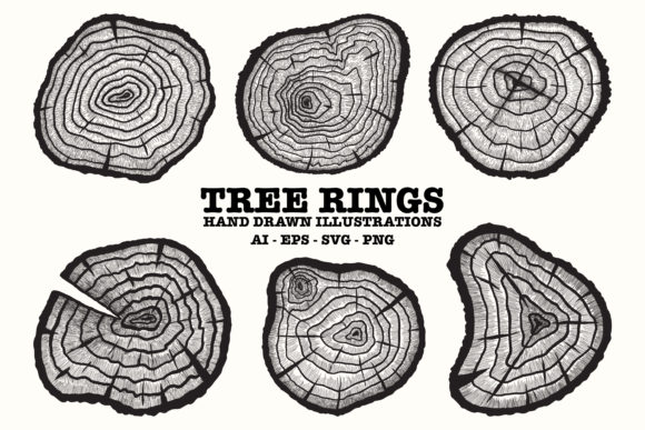 Hand Drawn Tree Rings Timber Tree: A Practical Guide to Vector Illustrations for Branding and Design