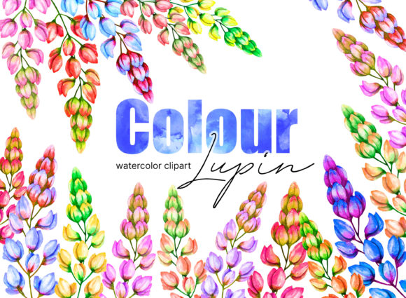 Unlocking Creative Potential with Lupin Colour Watercolor Clipart