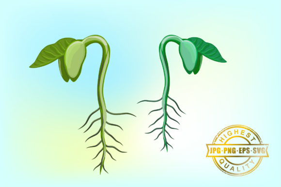 Unlocking Creative Potential with Sprouts Vector Hand Drawing Assets
